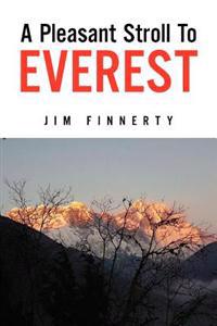 A Pleasant Stroll to Everest