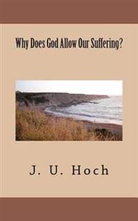 Why Does God Allow Our Suffering?