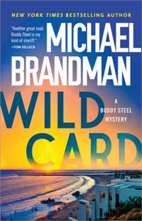 Buddy Steel Thrillers