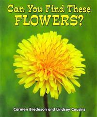 Can You Find These Flowers?