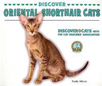Discover Oriental Shorthair Cats