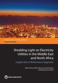 Shedding Light on Electricity Utilities in the Middle East and North Africa