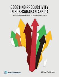 Boosting Productivity in Sub-Saharan Africa