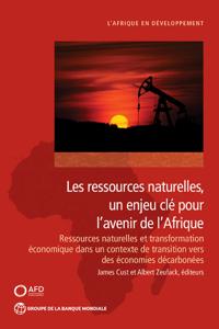 Les Ressources Naturelles, Un Enjeu Clé Pour L'avenir De I'Afrique