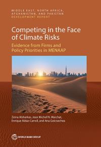 Competing in the Face of Climate Risks