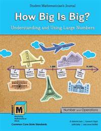 Gavin: PM3 L3-4 How Big is Big? SMJ