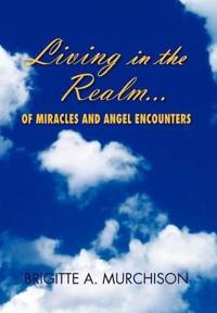 Bokomslag för "Living in the Realm of Miracles and Angel Encounters"
