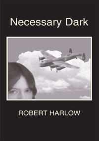 Necessary Dark