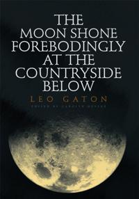 Moon Shone Forebodingly at the Countryside Below