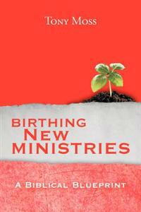 Bokomslag for "Birthing New Ministries"