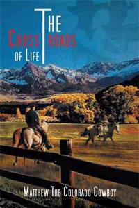 The Crossroads of Life