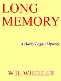 Long Memory