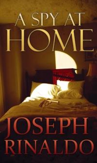 Spy At Home
