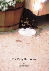 Baby Raccoons