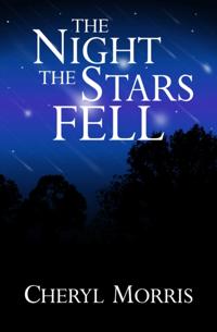 Night the Stars Fell
