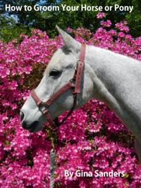 How to Groom Your Horse or Pony