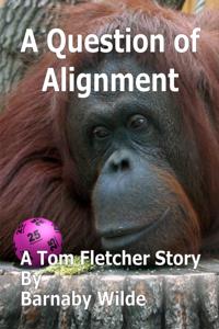 Question of Alignment