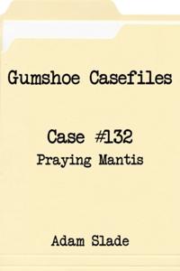 Gumshoe Casefiles: Case 132