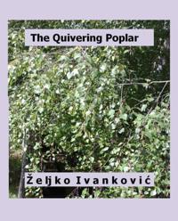 Quivering Poplar
