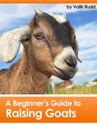 Beginner's Guide To Raising Goats