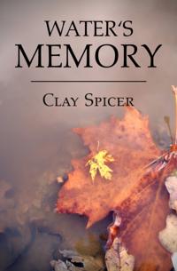 Water's Memory