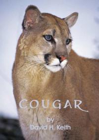 Cougar