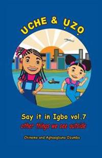 Uche and Uzo Say it in Igbo vol.7: Vol.7 Other things we see outside