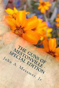 The Guns of Mestonville