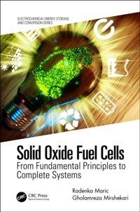 Electrochemical Energy Storage and Conversion