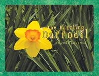 Dazzling Daffodil