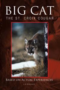 Big Cat