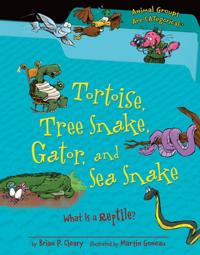 Tortoise, Tree Snake, Gator, and Sea Snake