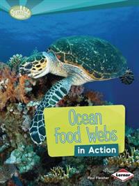 Ocean Food Webs in Action