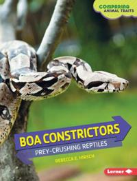 Boa Constrictors