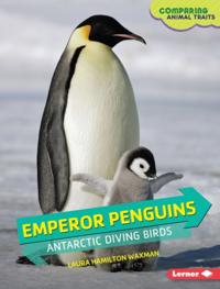 Emperor Penguins
