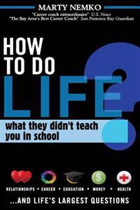 How to Do Life: What they didn't teach you in school