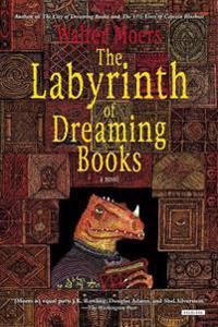 The Labyrinth of Dreaming Books: Zamonia Book Five