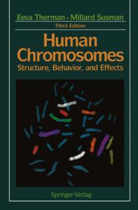 Springer Study Edition