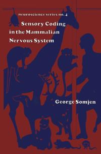 Neuroscience Series