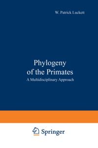 Phylogeny of the Primates
