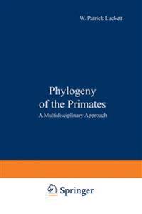 Phylogeny of the Primates
