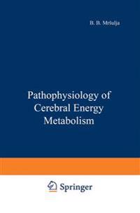 Pathophysiology of Cerebral Energy Metabolism