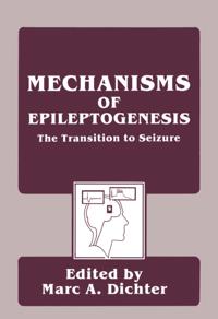 Mechanisms of Epileptogenesis