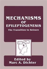 Mechanisms of Epileptogenesis