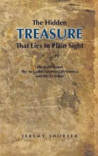 Bokomslag för "The Hidden Treasure That Lies in Plain Sight"