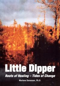 Little Dipper