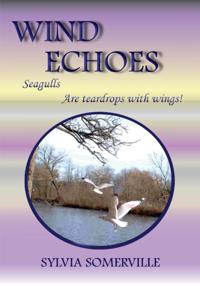 Wind Echoes