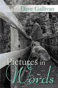 Bokomslag för "Pictures in Words"