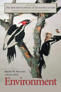 New Encyclopedia of Southern Culture