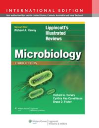 Lippincott's Illustrated Reviews Series